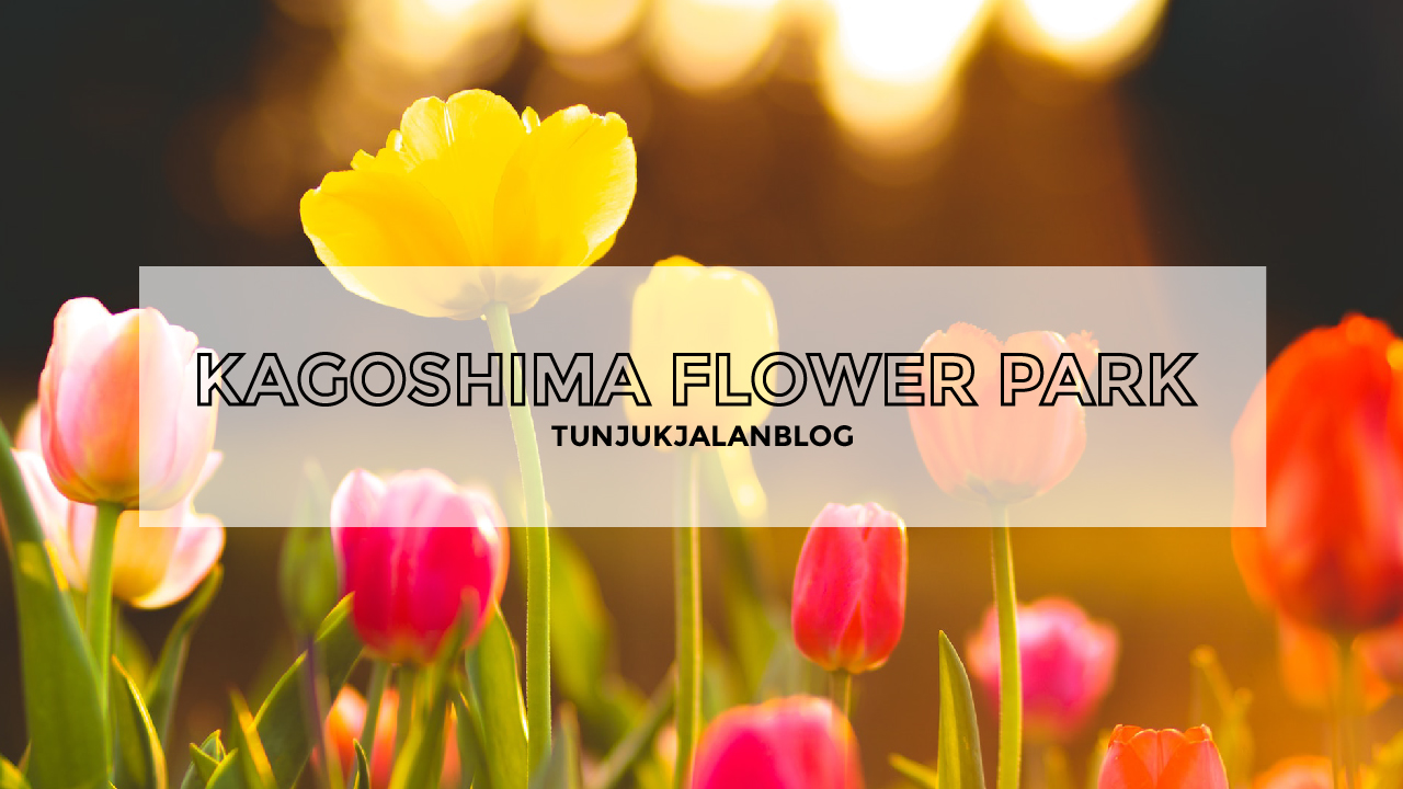 Kagoshima Flower Park